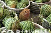 武侠q传火谷版本下载 