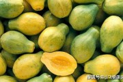 风湿中心 